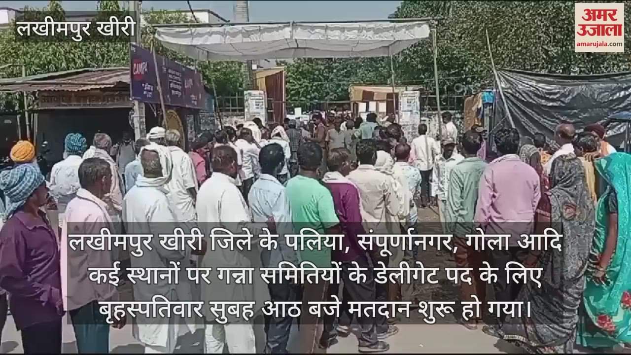 VIDEO : लखीमपुर खीरी में गन्ना समिति के डेलीगेट का हो रहा चुनाव, मतदाताओं में दिखा उत्साह