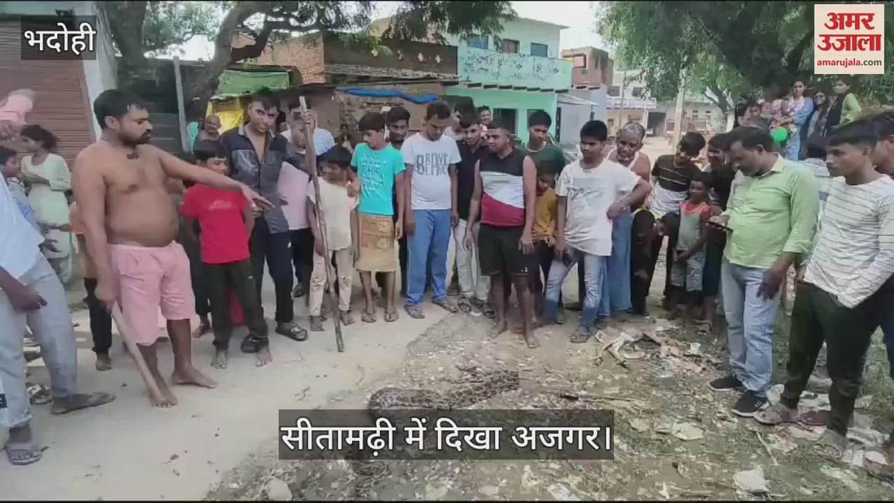 VIDEO : Panic due to sighting of python in Bhadohi village, forest department team caught it