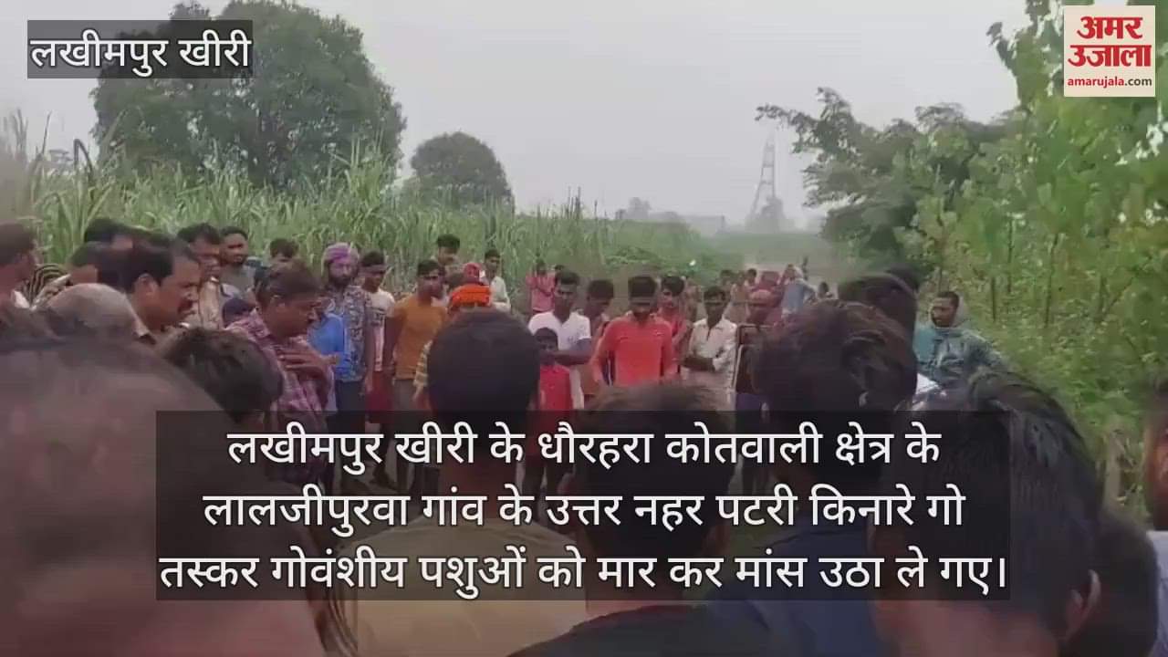 VIDEO : लखीमपुर खीरी में गांव के बाहर मिले गोवंशीय पशुओं के अवशेष, हिंदू संगठनों में आक्रोश