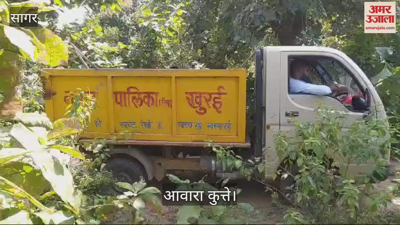 Stray dogs being left in the forest were found kept in the garbage vehicle of the municipality