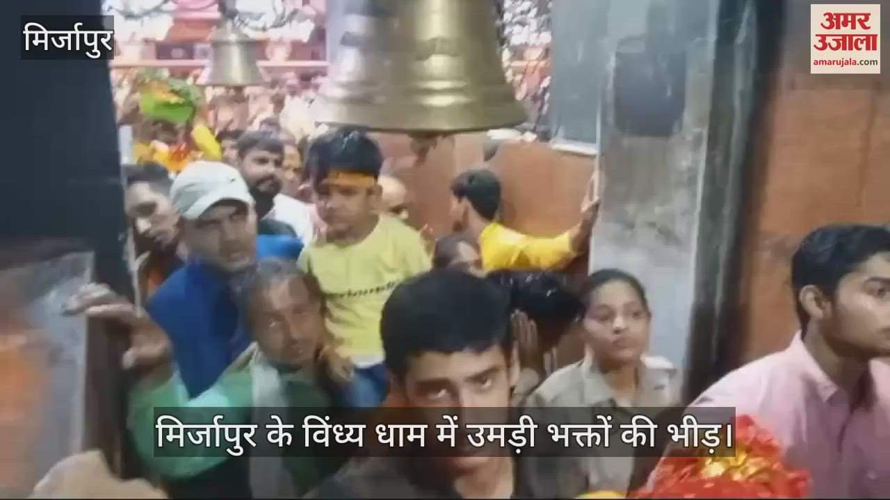 VIDEO : A huge crowd of devotees gathered for worship at Vindhya Dham, there was a long queue in the court since dawn