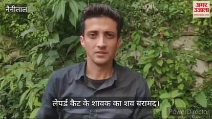 VIDEO : लेपर्ड कैट के शावक का शव बरामद