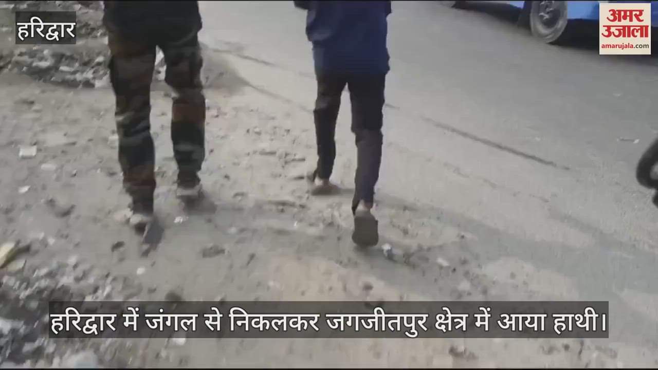 VIDEO : Elephant came out of jungle to Jagjeetpur area in Haridwar People Panic