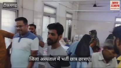 Bees attack at school