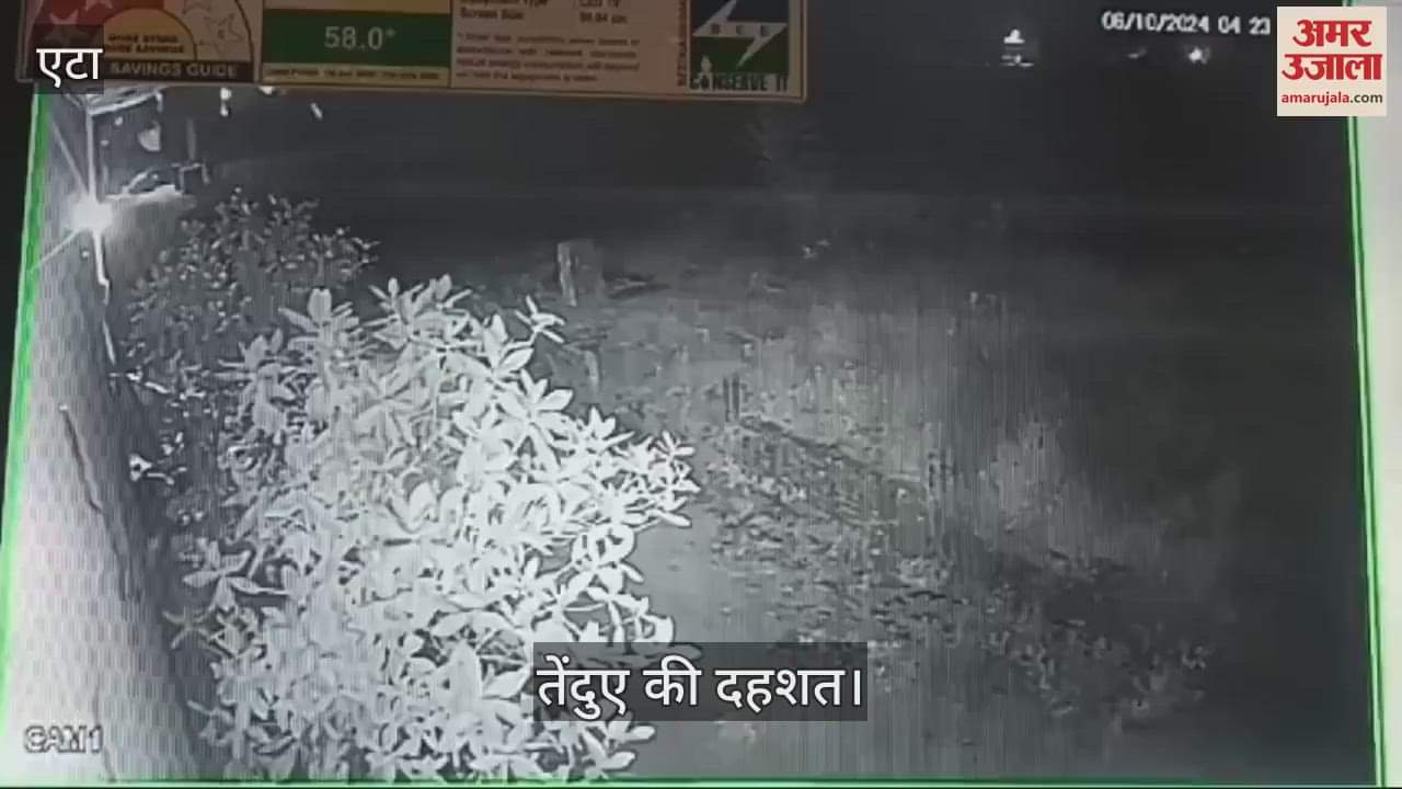 VIDEO : एटा में तेंदुए की दहशत...सीसीटीवी में हुआ कैद, दहशत में ग्रामीण