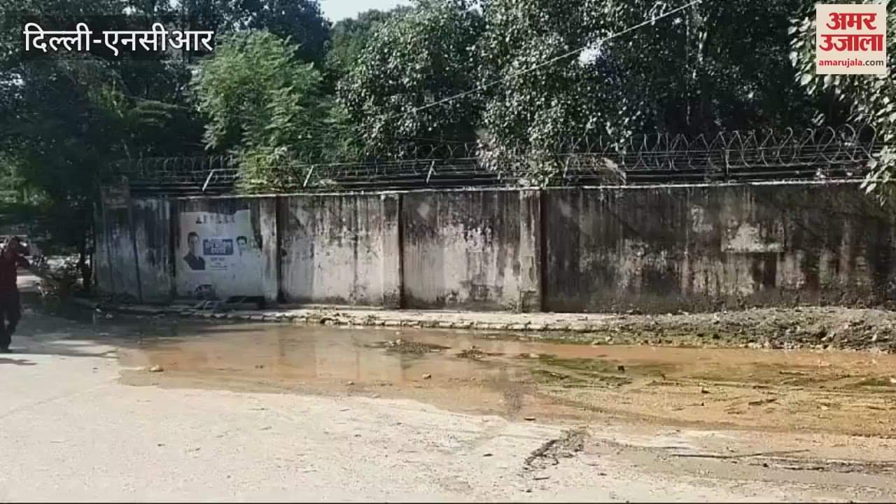 VIDEO : दिल्ली में डेंगू से तीन की मौत, मलेरिया और चिकनगुनिया के मामलों में भी लगातार हो रही है बढ़ोतरी