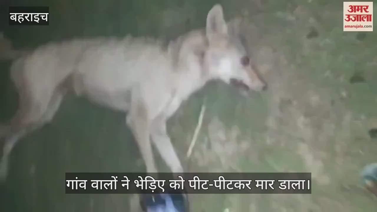 VIDEO : गांव वालों ने भेड़िए को पीट-पीटकर मार डाला