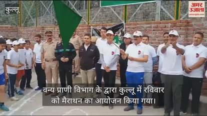 VIDEO : Students ran in Kullu to spread the message of environment CPS flagged off the marathon