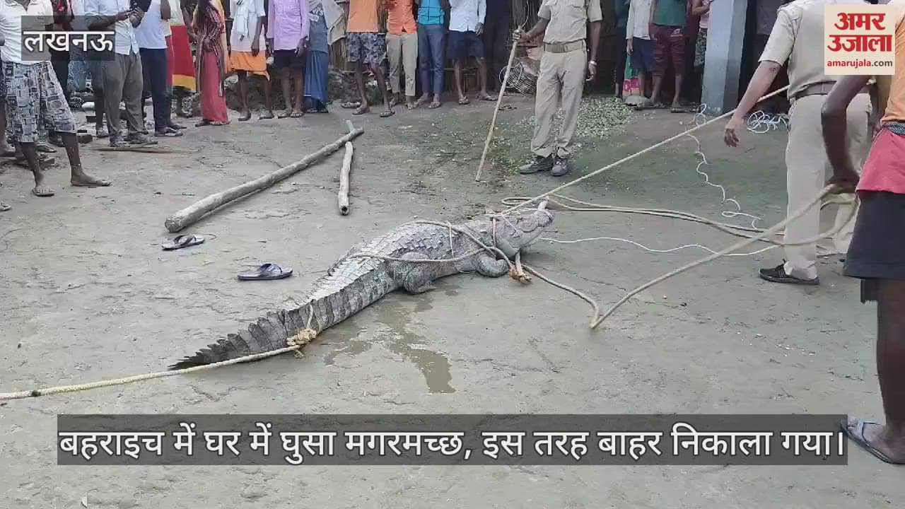 VIDEO : बहराइच में घर में घुसा मगरमच्छ, इस तरह बाहर निकाला गया