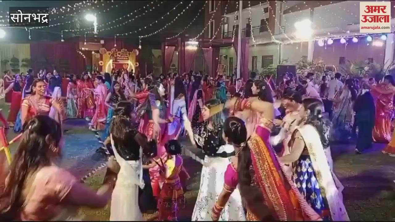 VIDEO : Women danced dandiya with enthusiasm famous singer and DJ artist created stir