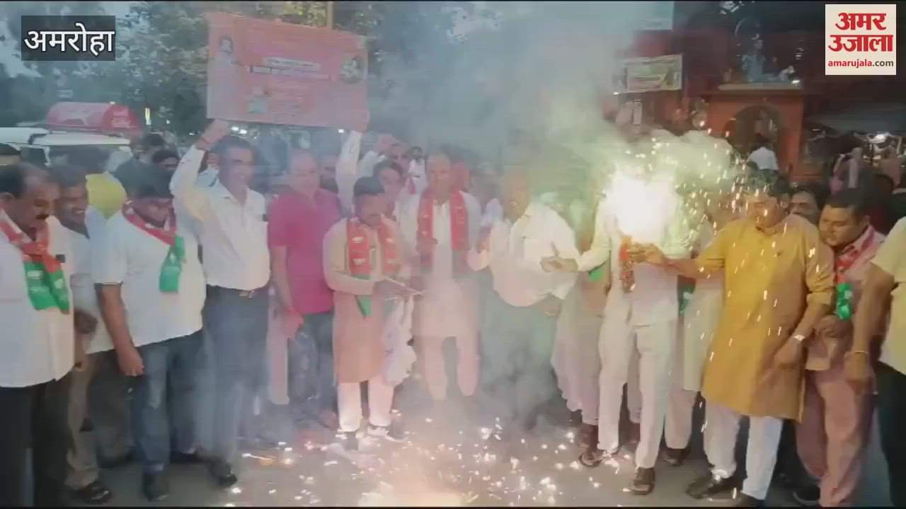 VIDEO : BJP workers burst firecrackers and distributed sweets to celebrate formation of government in Haryana