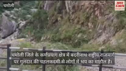 VIDEO : Leopard roaming on Badrinath Highway people in panic Chamoli Uttarakhand News