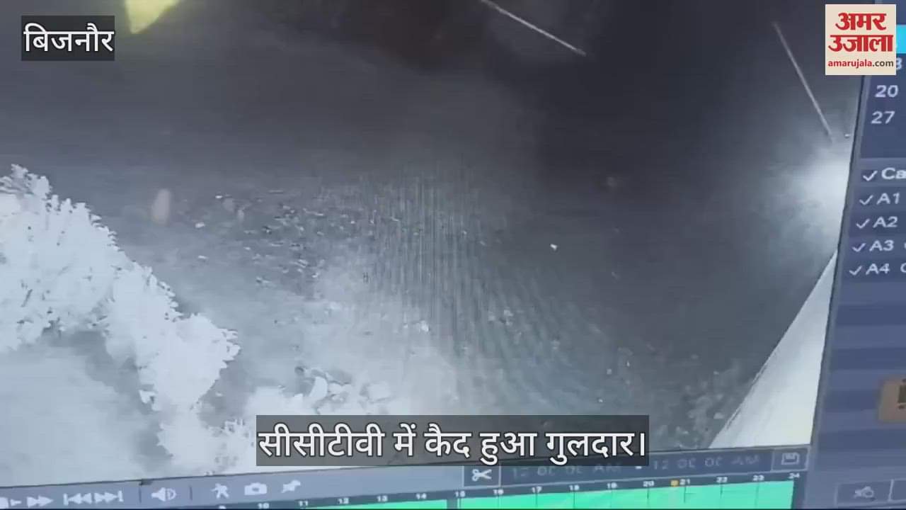 VIDEO : Leopard entered the cattle shed of a farmer in Bijnor, attacked and injured the cattle