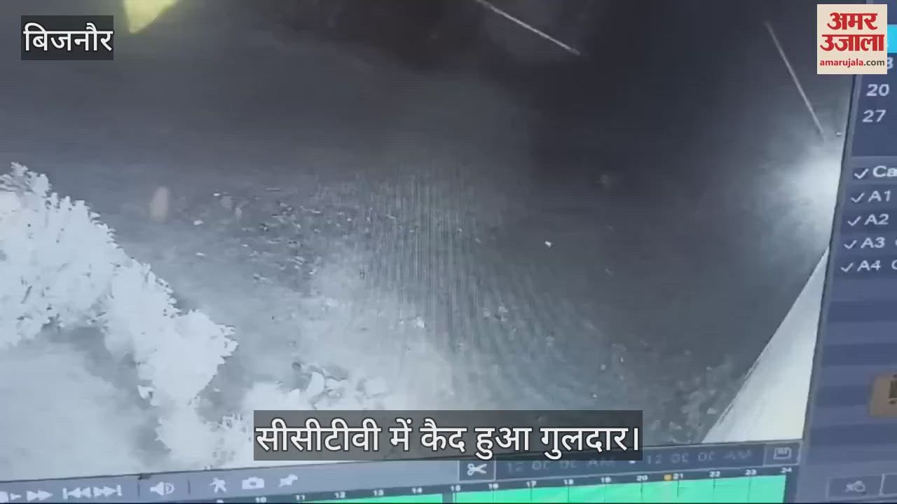 VIDEO : Leopard entered the cattle shed of a farmer in Bijnor, attacked and injured the cattle