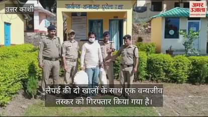 VIDEO : Wildlife smuggler arrested with 2 leopard skins in Uttarkashi Uttarakhand News in hindi