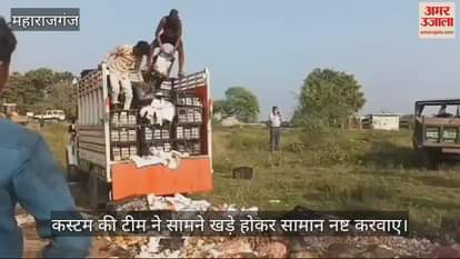 VIDEO : In Maharajganj, the Custom Department has seized Chinese garlic and mango and destroyed them.