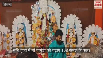 VIDEO : 108 lotus flowers are offered to Maa Chamunda in Sandhi Puja