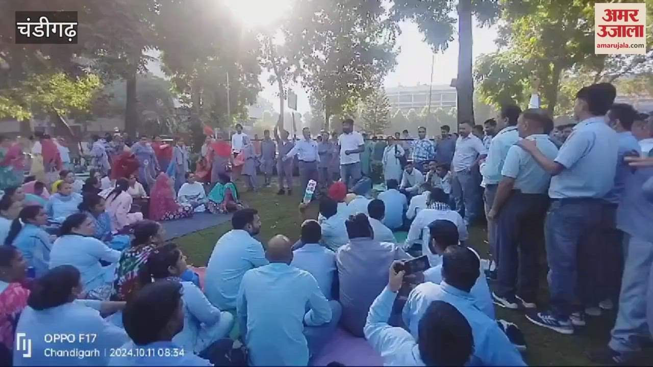 VIDEO : Ward attendants strike in chandigarh PGI