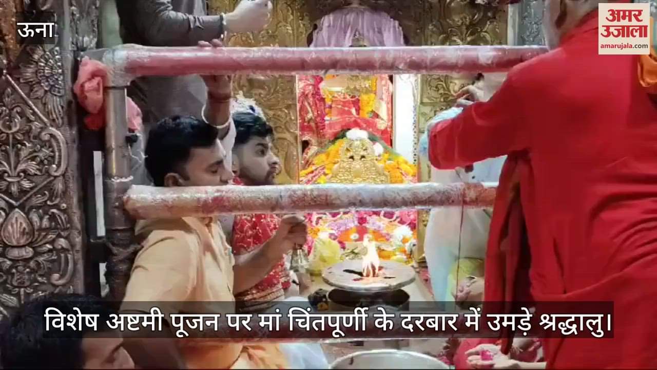 VIDEO : On Ashtami, devotees gathered in the court of mother Chintapurni