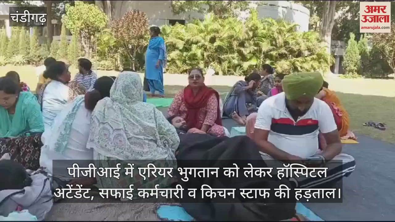 VIDEO : पीजीआई में हड़ताल पर कई विभागों के अनुबंध कर्मचारी