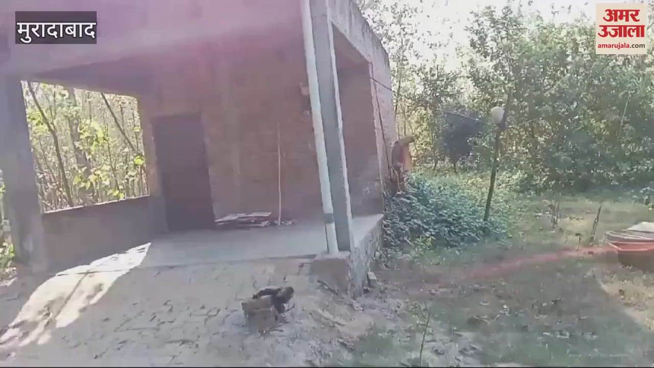 VIDEO : Moradabad, a loving couple consumed poison due to fear of police, both are in critical condition