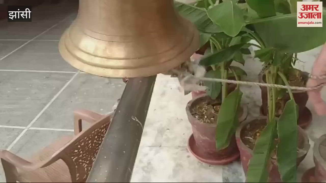 VIDEO : झांसी के प्राचीन कालीबाड़ी में महिलाओं ने मां काली देवी की पूजा कर सिंदूर दान किया, गले मिलकर दी बधाई