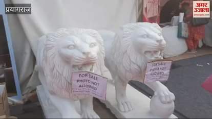 VIDEO : Rajwada Furniture shines in Mega Trade Fair, massager relieves fatigue in minutes