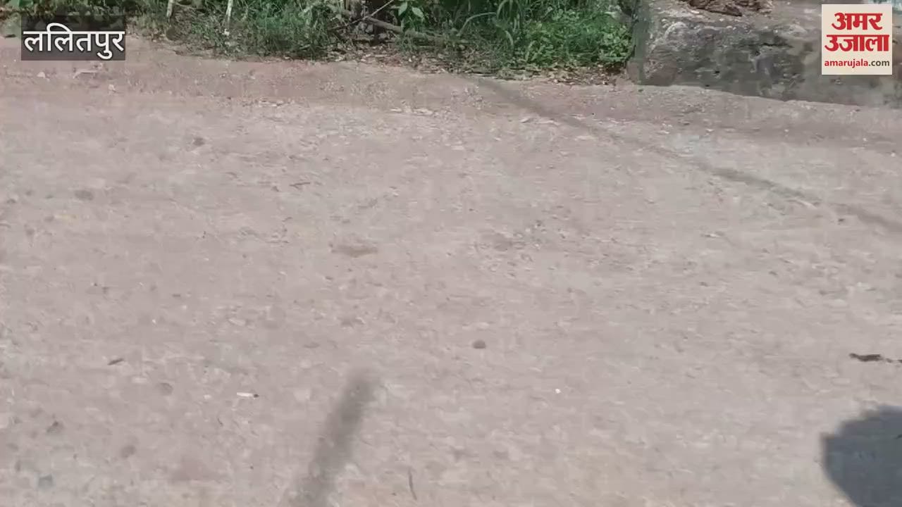 VIDEO : ललितपुर में हैवान पिता ने बेटी को बांधकर उल्टा लटकाया, वीडियो वायरल