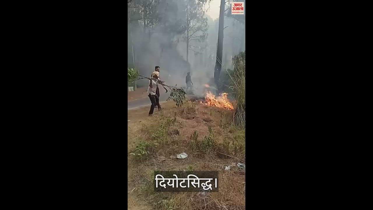 VIDEO : Fire broke out in the forest of Deyotsiddh