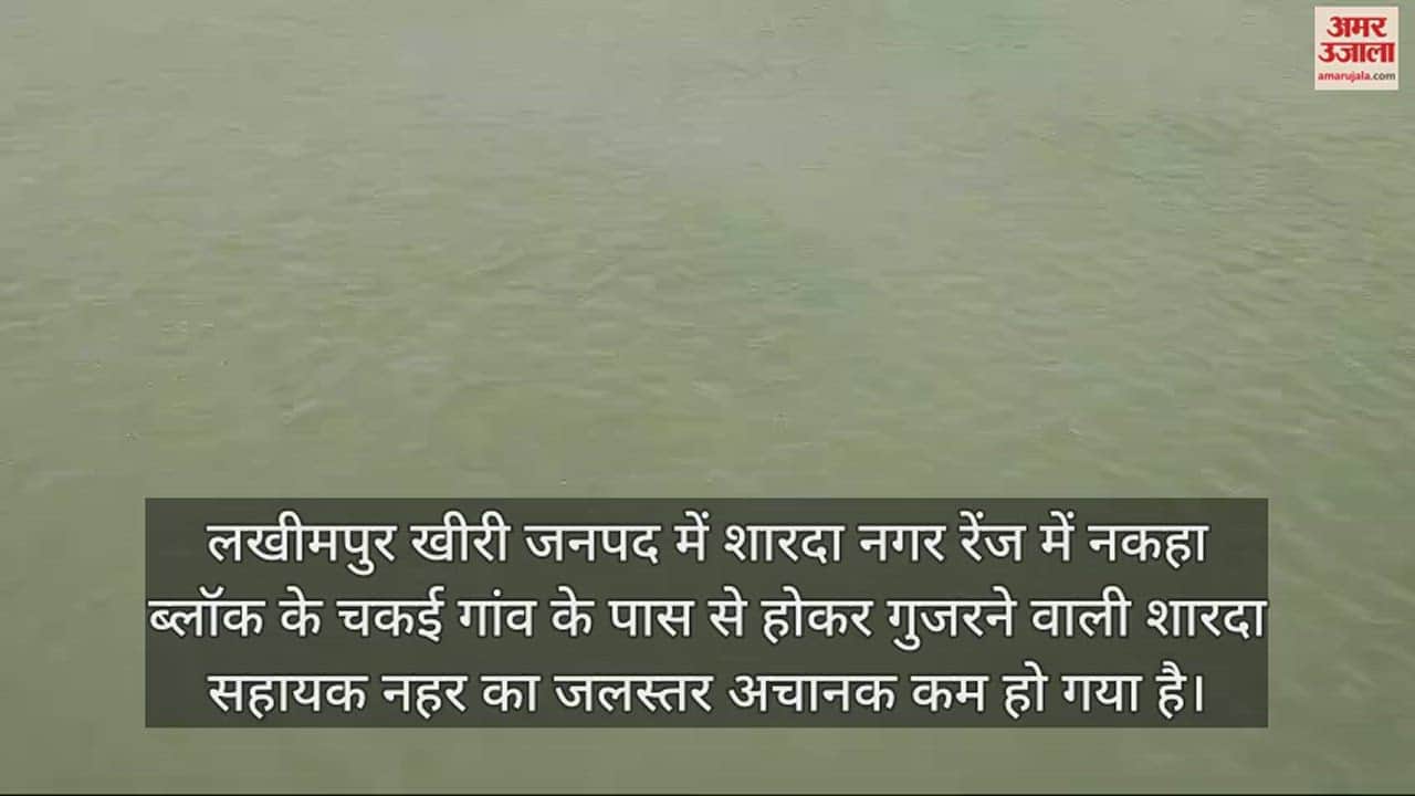 VIDEO : खतरे में डॉल्फिन की जान... नहर में कम हुआ पानी तो बेचैन दिखीं 'जल की रानी