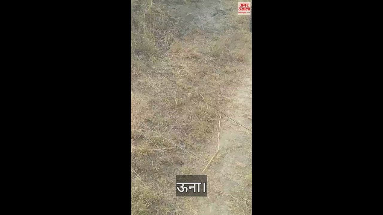VIDEO : Three lakhs of electricity department lost their lives in forest fire in Bangana Una seven pillars were broken