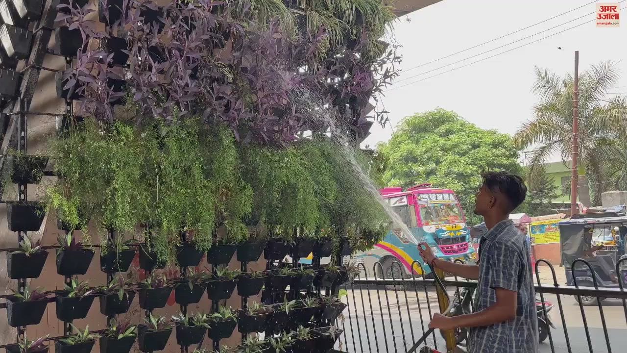 VIDEO : markets lone of Jammu city due to scorching heat