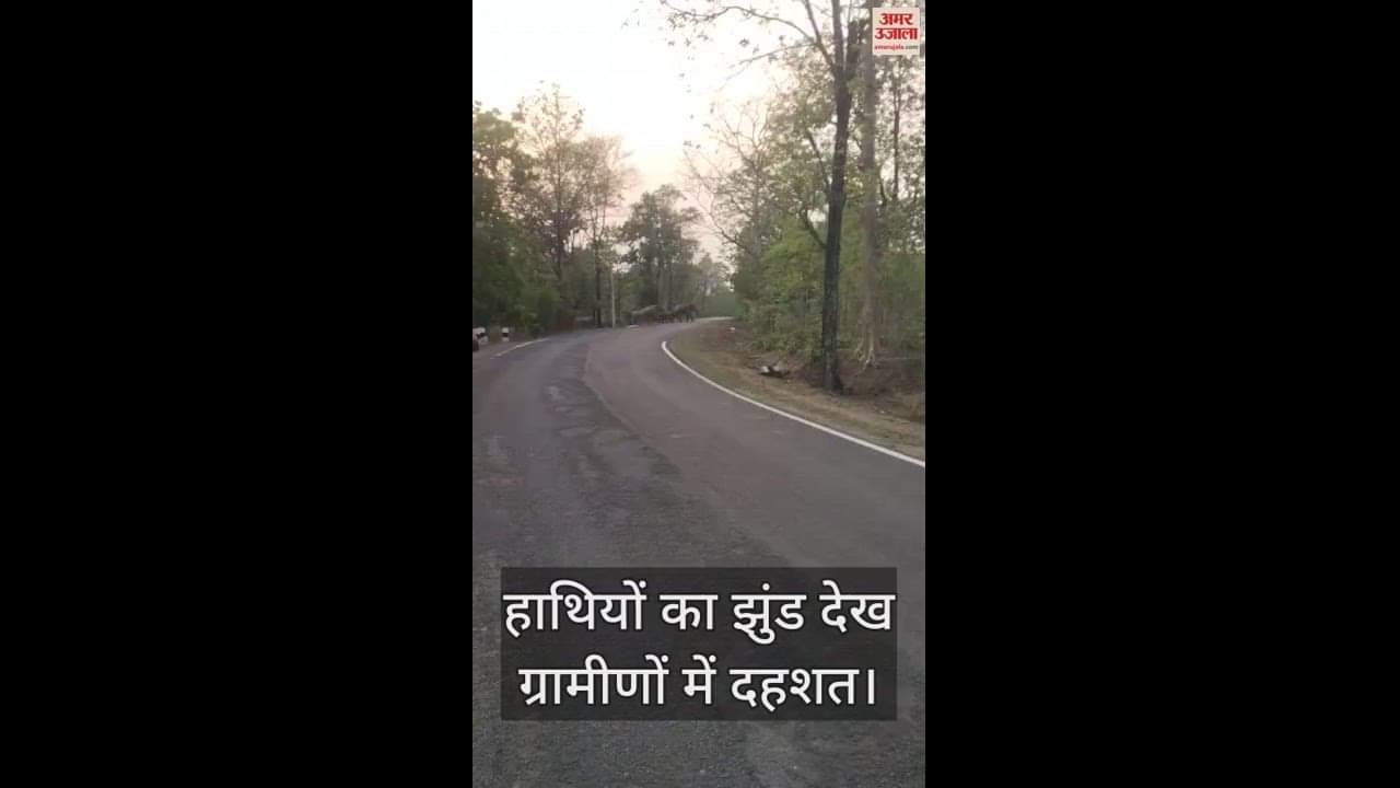VIDEO : हाथियों का झुंड देख दहशत में ग्रामीण, वन विभाग की टीम एक्टिव, लोगों को किया गया सतर्क