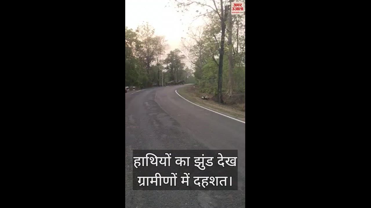 VIDEO : हाथियों का झुंड देख दहशत में ग्रामीण, वन विभाग की टीम एक्टिव, लोगों को किया गया सतर्क