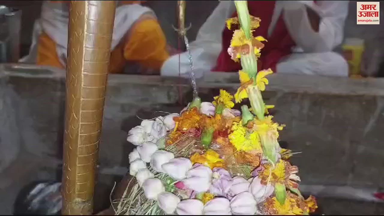 VIDEO : Rudrabhishek performed the victory of Indi alliance candidates in varanasi