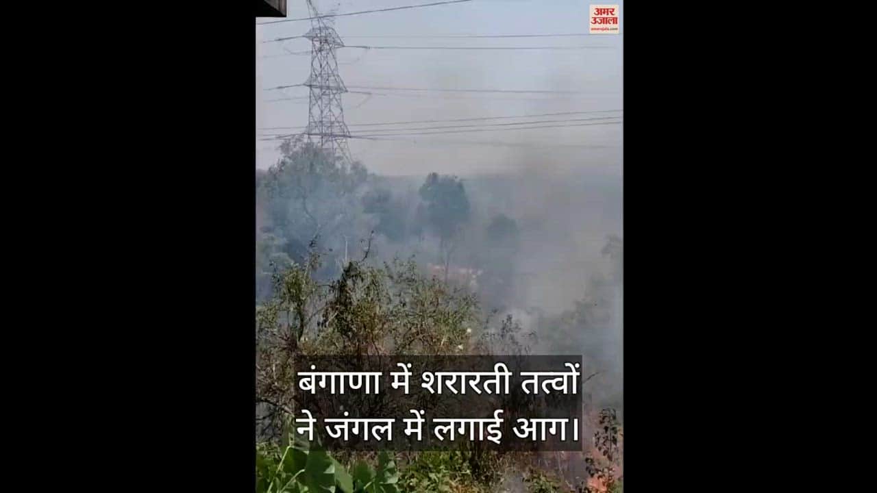 VIDEO : Miscreants set the forest on fire in Bangana, causing damage to forest wealth