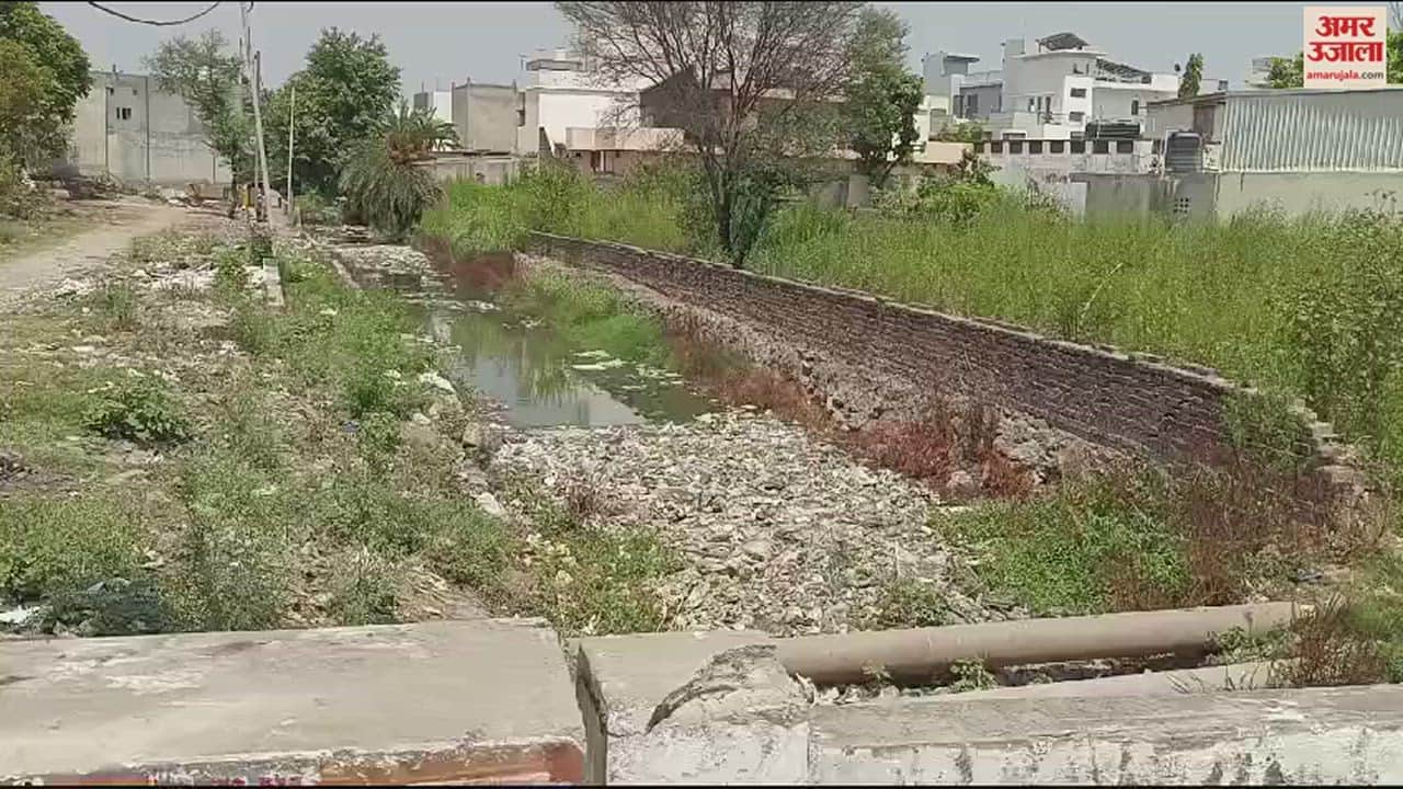 VIDEO : अंबाला में नाले की सफाई को लेकर भाजपा और कांग्रेस के पार्षद आमने-सामने