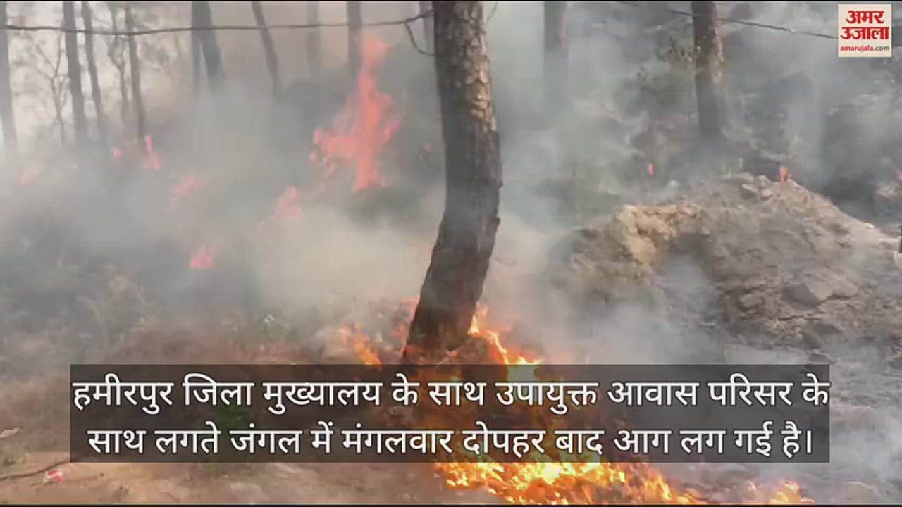 VIDEO : Forest fire reached DC residence in Hamirpur electricity cut to save transformer