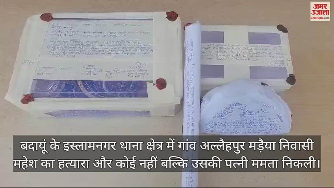 VIDEO : खर्चे के लिए रुपये नहीं देता था पति, पत्नी ने सिलबट्टे से सिर कुचलकर मार डाला