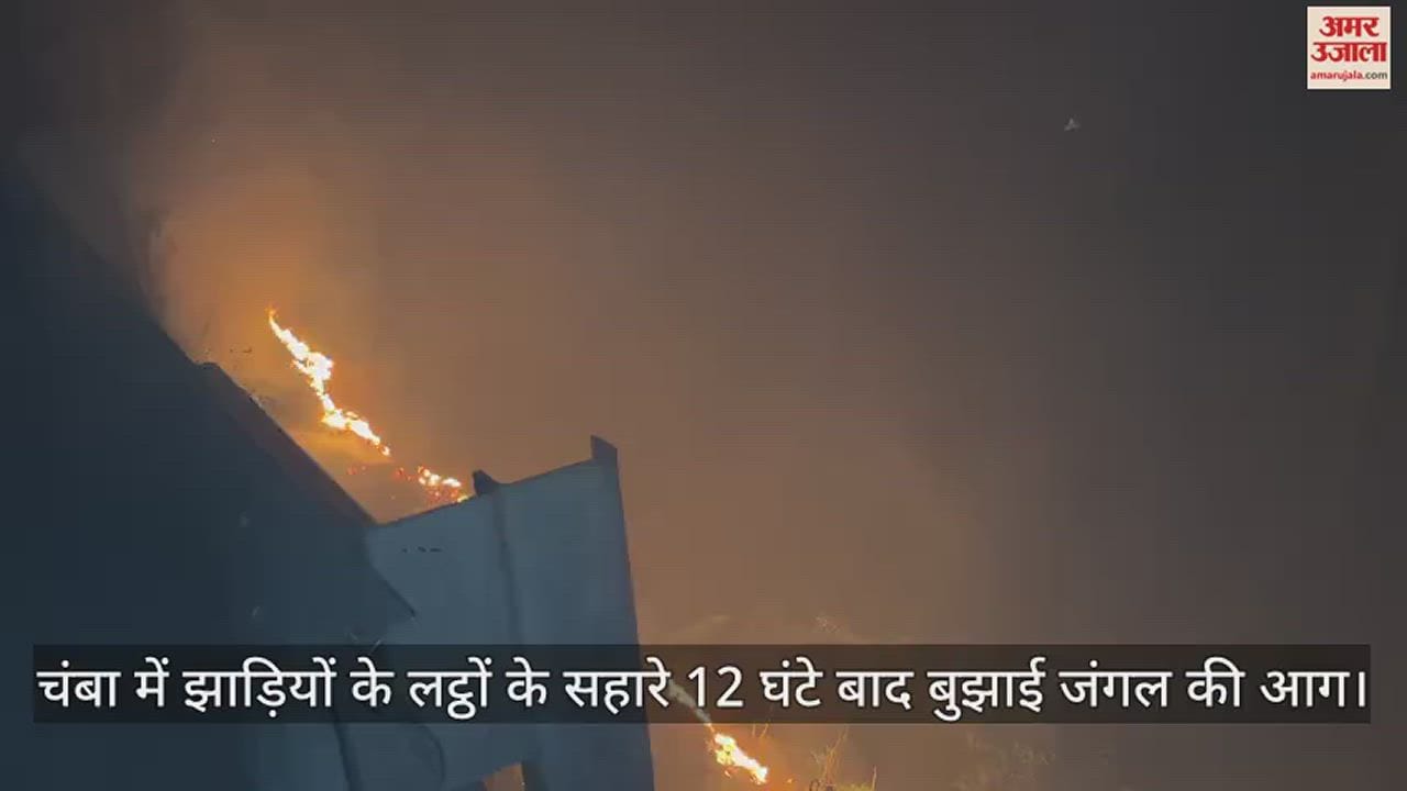 VIDEO : forest fire in Chamba was extinguished after 12 hours with the help of logs from bushes
