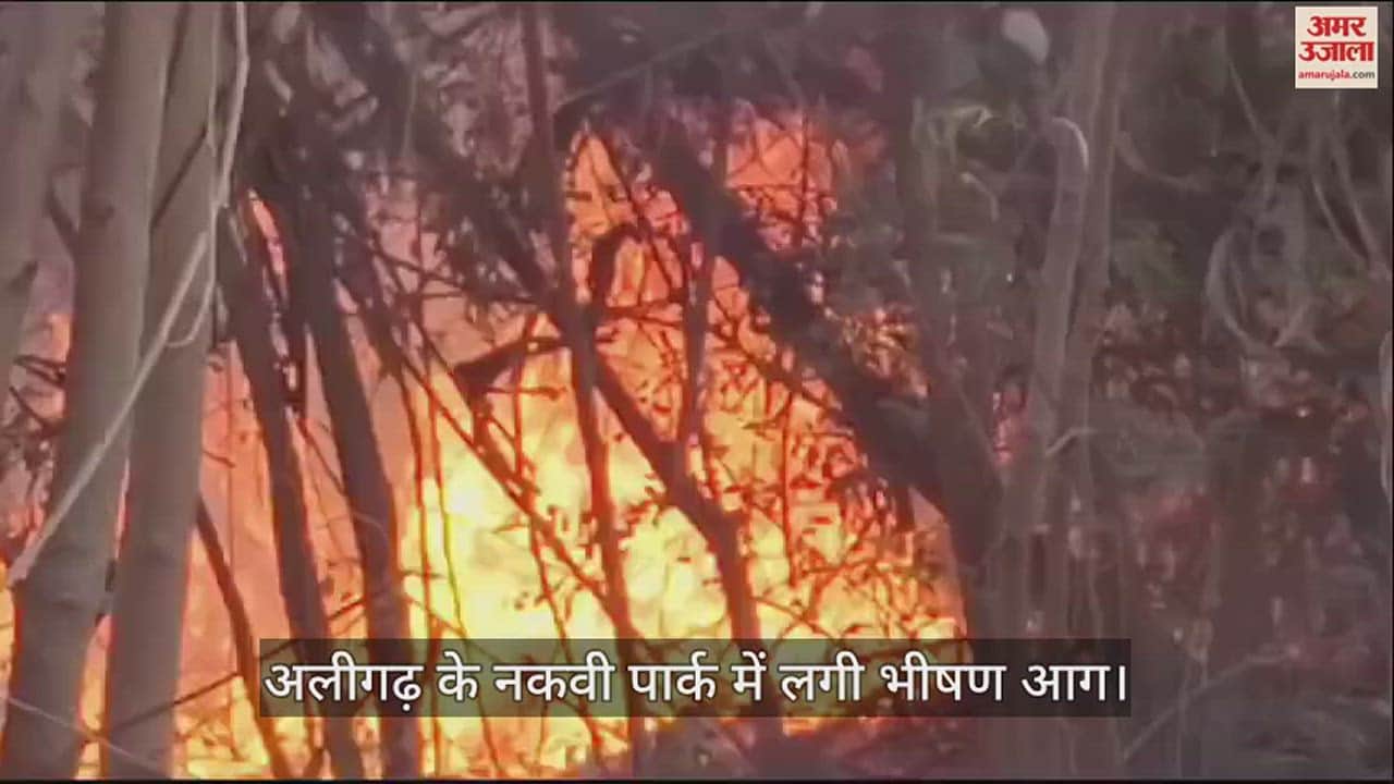 VIDEO : अलीगढ़ के नकवी पार्क में लगी भीषण आग