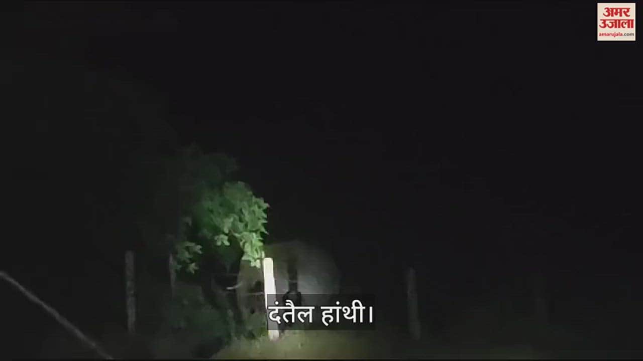 VIDEO : दंतैल हांथी का वीडियो आया सामने, छह साल में पहली बार पीछे लौटा हाथी