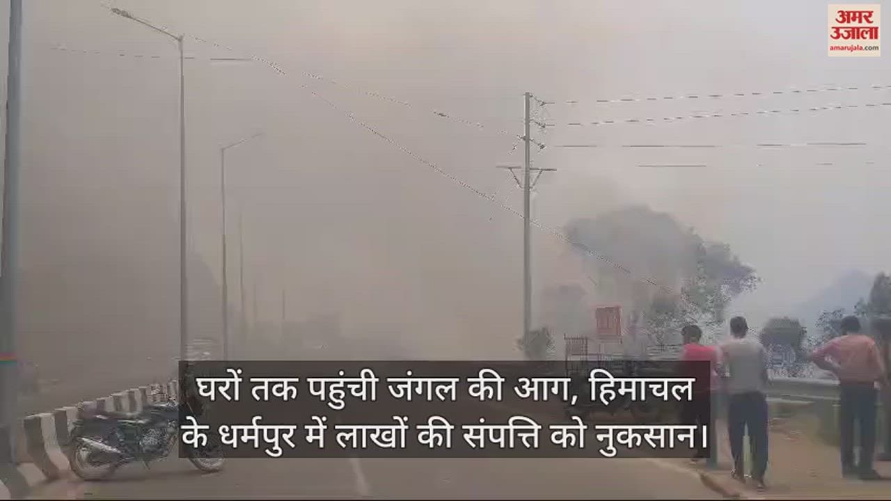 VIDEO : Forest fire reached homes, property worth lakhs damaged in Himachal