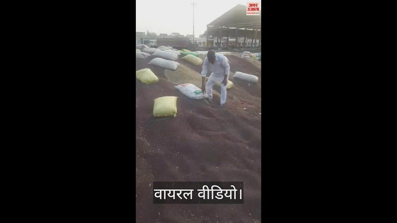 VIDEO : भिवानी में घटती पूर्ति के लिए सरसों में मिलावटखोरी का खेल, वीडियो वायरल