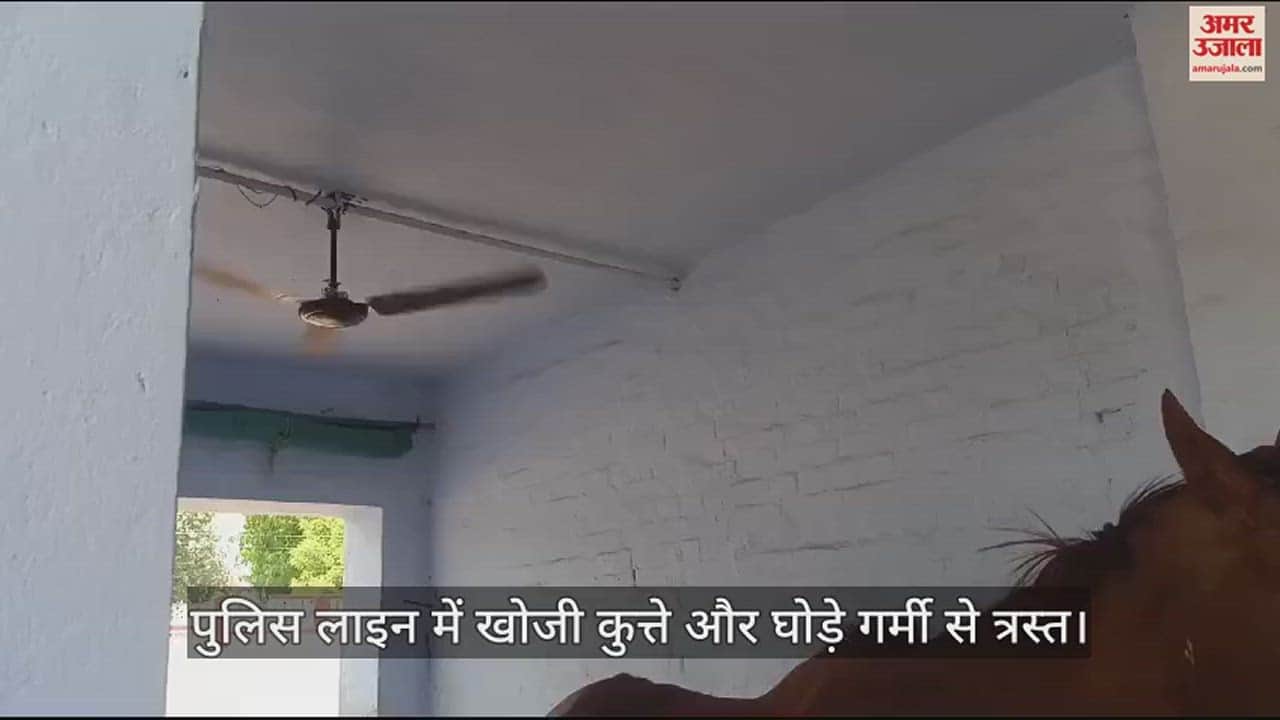 VIDEO : Prayagraj Police: Sniffer and horse also given support of coolers and fans, they are in bad condition due to heat.