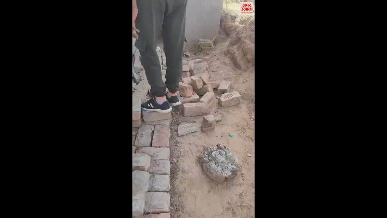 VIDEO : फतेहाबाद में कोबरा सांप ने मारा स्नैकमेन के घुटने पर डंक, कड़ी मशक्कत से किया काबू