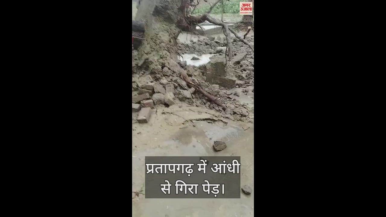 VIDEO : The storm that came early in the morning in Pratapgarh caused huge destruction, huge loss.