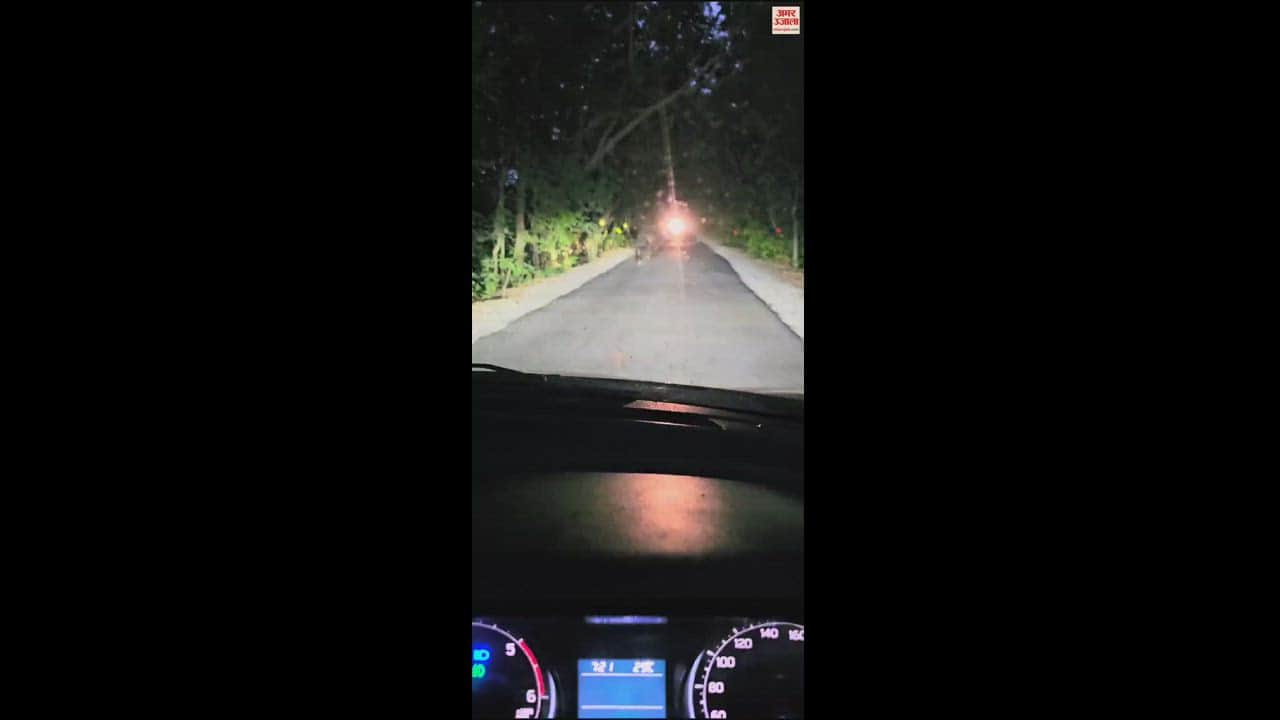 VIDEO : पीलीभीत टाइगर रिजर्व में बाघ ही नहीं, भालू भी कर रहे लोगों को रोमांचित