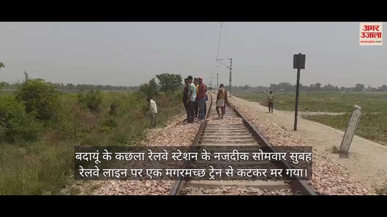 VIDEO : रेलवे लाइन पर पहुंचा मगरमच्छ, ट्रेन से कटकर हुए दो टुकड़े