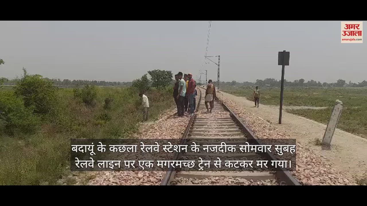 VIDEO : रेलवे लाइन पर पहुंचा मगरमच्छ, ट्रेन से कटकर हुए दो टुकड़े